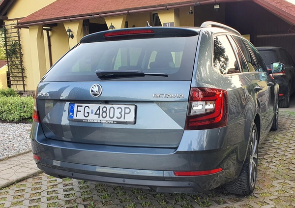 Skoda Octavia cena 69999 przebieg: 197845, rok produkcji 2019 z Iłża małe 781